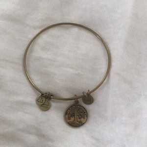 Alex and Ani Tree of Life bracelet